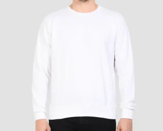 plain-sweatshirts-plain-tshirts-india.webp